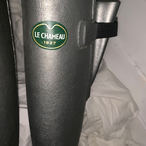 SOLD - NWB LE CHAMEAU BOOTS in PLATINUM sz 37 - Picture 2 of 6